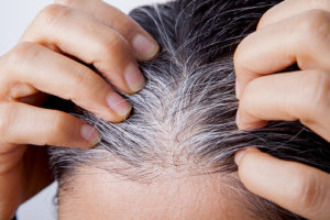gray-hair before applying henna